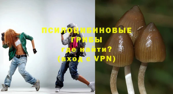 гидропоника Арсеньев
