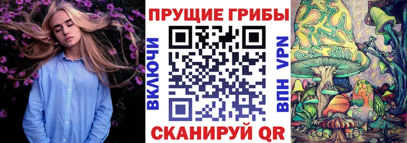мега ссылка  Очёр  Галлюциногенные грибы мухоморы  что такое наркотик 