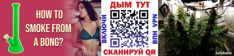 blacksprut   Очёр  Бошки Шишки White Widow 
